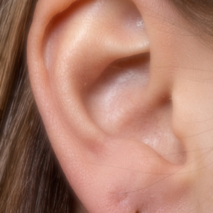 Puce d'Oreille "Rêverie"