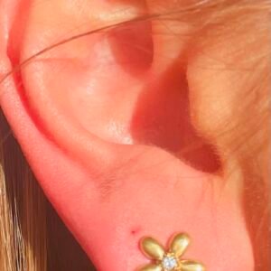 Puce d'Oreille "Petite Marguerite"